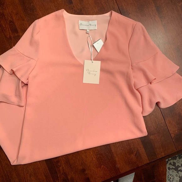 Shift Dress Blush rose NWT - Picture 2 of 8